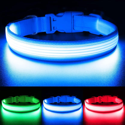 Light up Dog Collar, USB Rechargeable LED Puppy Collar Super Bright Adjustable Glowing Dog Lights for Night Walking (Green, Small)