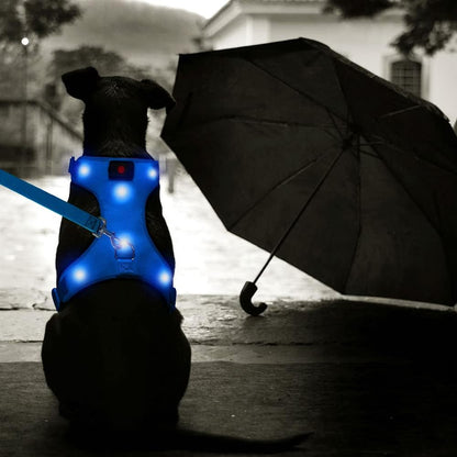 LED Dog Harness,Lighted up USB Rechargeable Pet Harness,Illuminated Reflective Glowing Dog Vest Adjustable Soft Padded No-Pull Suit for Small,Medium,Large Dogs (Blue, M)