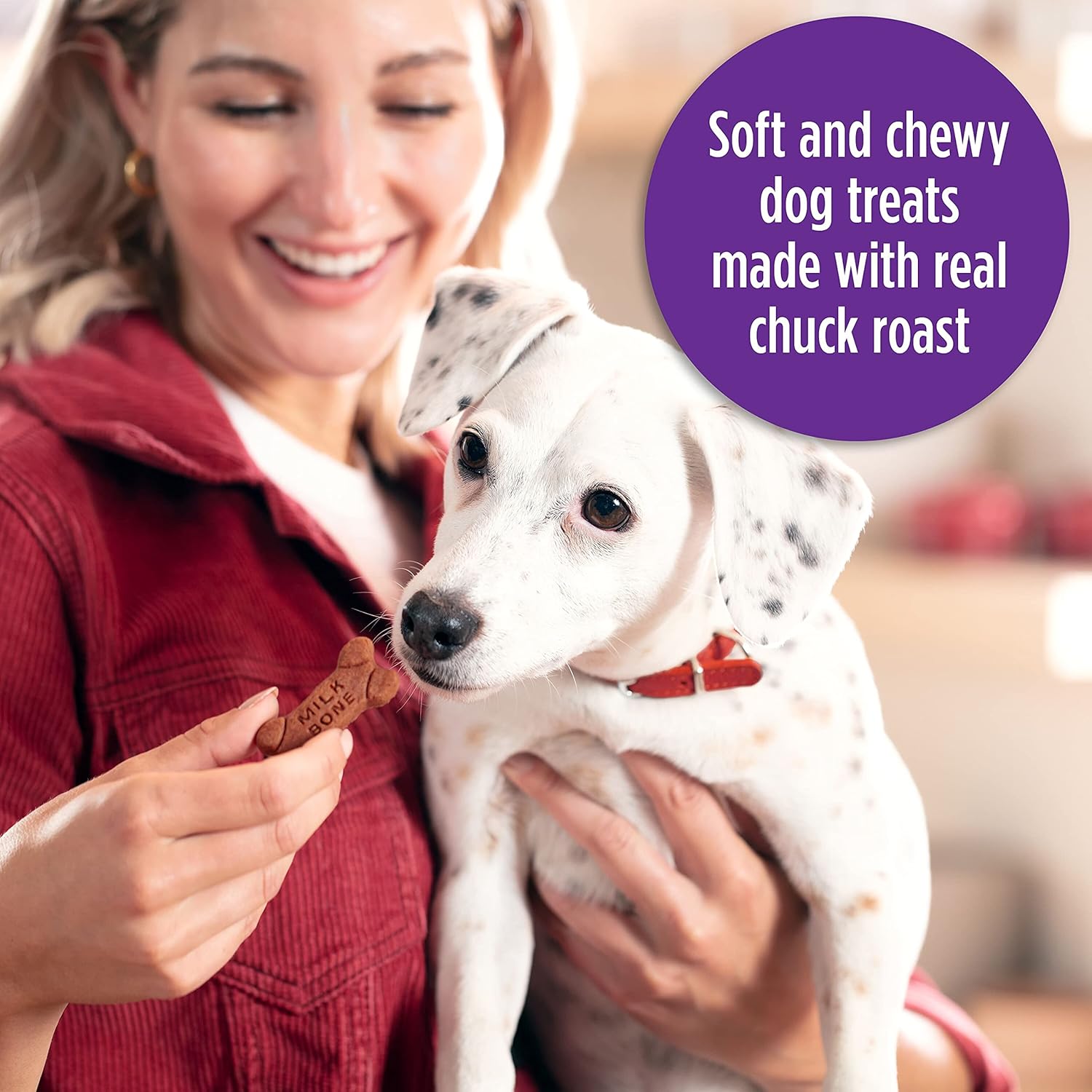 Soft & Chewy Dog Treats, Beef & Filet Mignon Recipe, 25 Ounce