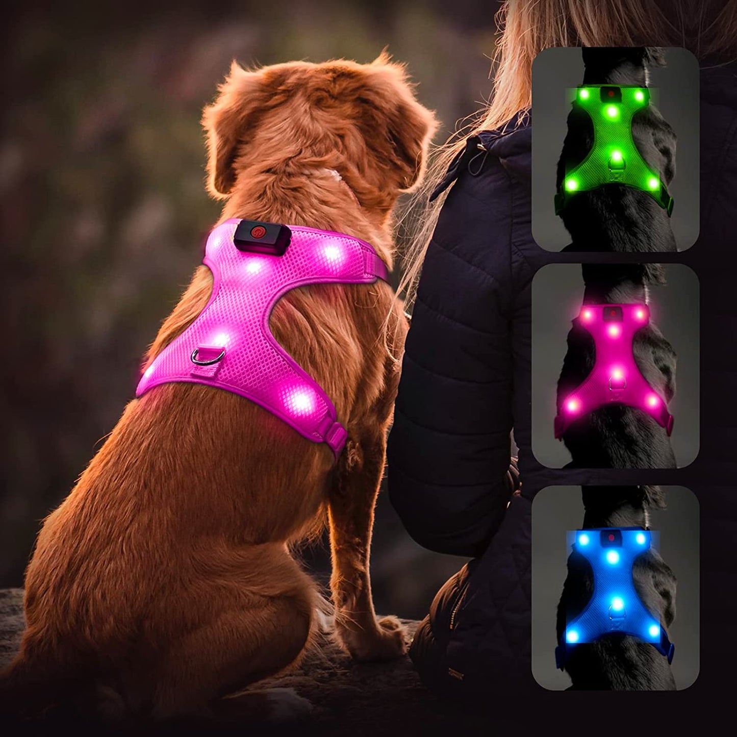 LED Dog Harness,Lighted up USB Rechargeable Pet Harness,Illuminated Reflective Glowing Dog Vest Adjustable Soft Padded No-Pull Suit for Small,Medium,Large Dogs (Blue, M)