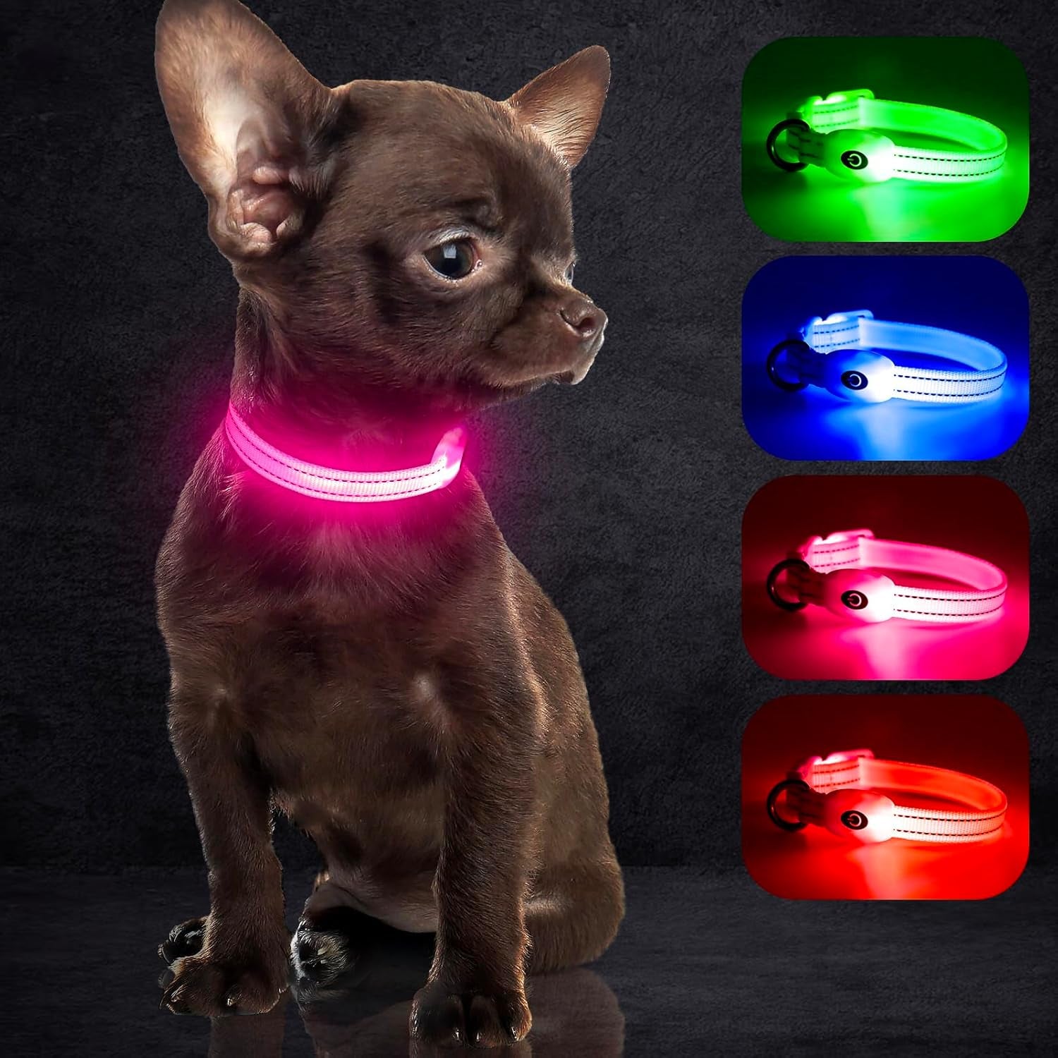 Light up Dog Collar, USB Rechargeable LED Puppy Collar Super Bright Adjustable Glowing Dog Lights for Night Walking (Green, Small)