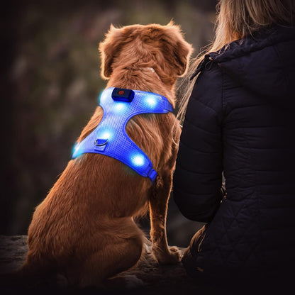 LED Dog Harness,Lighted up USB Rechargeable Pet Harness,Illuminated Reflective Glowing Dog Vest Adjustable Soft Padded No-Pull Suit for Small,Medium,Large Dogs (Blue, M)