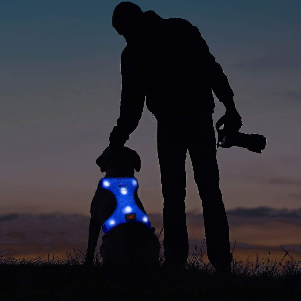 LED Dog Harness,Lighted up USB Rechargeable Pet Harness,Illuminated Reflective Glowing Dog Vest Adjustable Soft Padded No-Pull Suit for Small,Medium,Large Dogs (Blue, M)