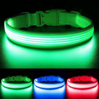 Light up Dog Collar, USB Rechargeable LED Puppy Collar Super Bright Adjustable Glowing Dog Lights for Night Walking (Green, Small)